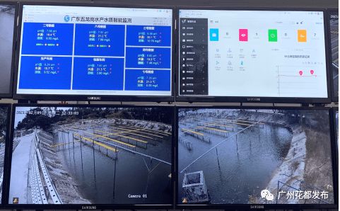 數字賦能 花都開啟現代農業4.0時代，互聯網銷售引領產業新變革